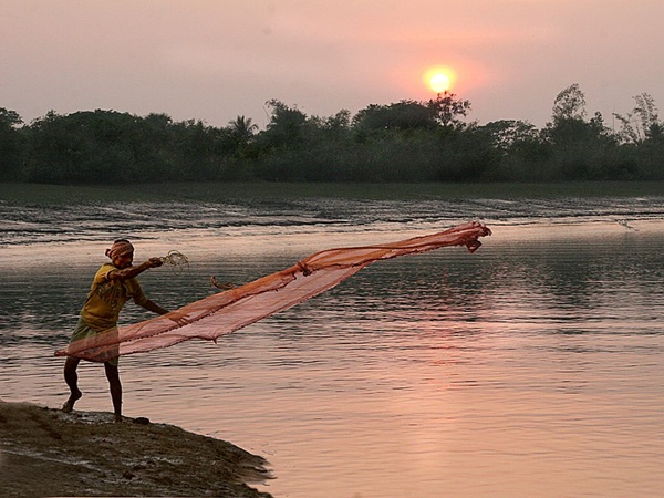 കണ്ടൽക്കാടുകൾ കണ്ട് കനാലുകളിലൂടെ