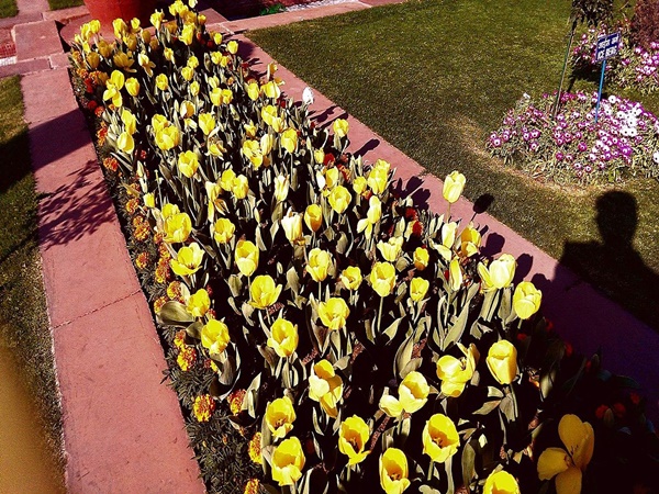 സെൽഫിയെടുക്കുവാൻ മറക്കണ്ട