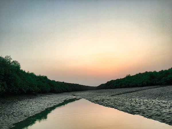 വേലിയേറ്റവും വേലിയിറക്കവും