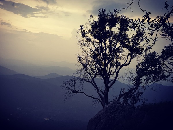 യേർക്കാഡ്, തമിഴ്നാ‌ട്