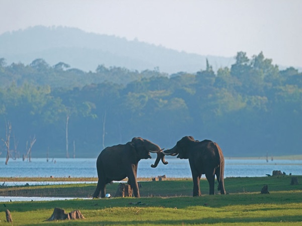 ജീജാമാതാ ഉദ്യാൻ