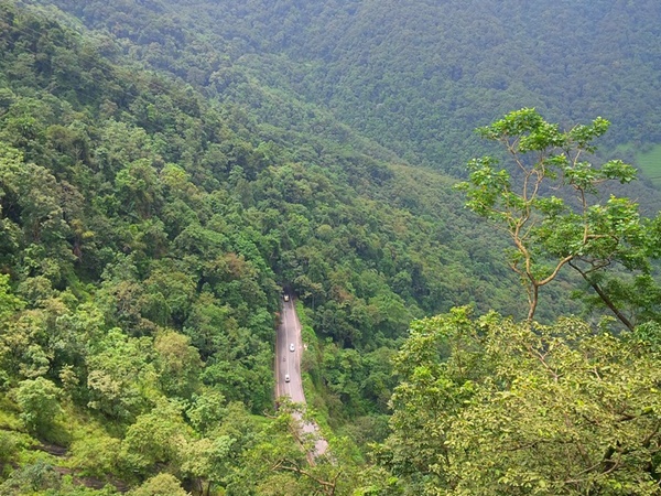 അടിവാരം- വൈത്തിരി