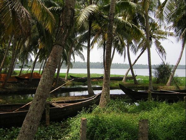 ആക്കുളം