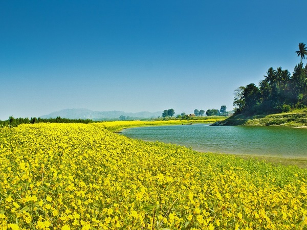 ഹാഫ്ലോങ്, ആസാം