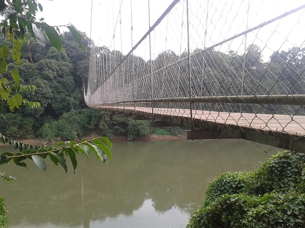 ന്യൂ ജെനറേഷന്‍ നാ‌ട്