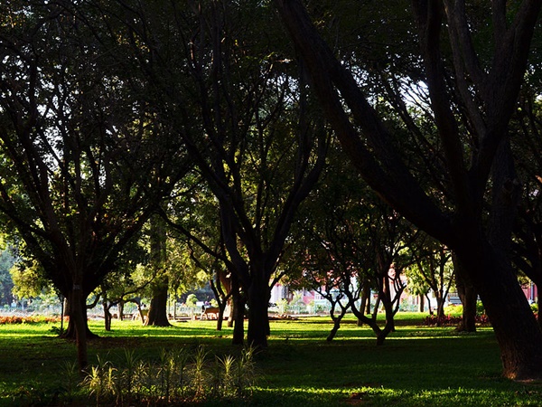 യൂറോപ്പായി മാറിയ ബാംഗ്ലൂര്‍