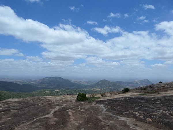 ഹോഴ്സ്ലി ഹില്‍സ്