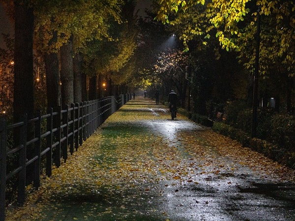 വീ‌ട്ടിലിരുന്ന് കാണാം