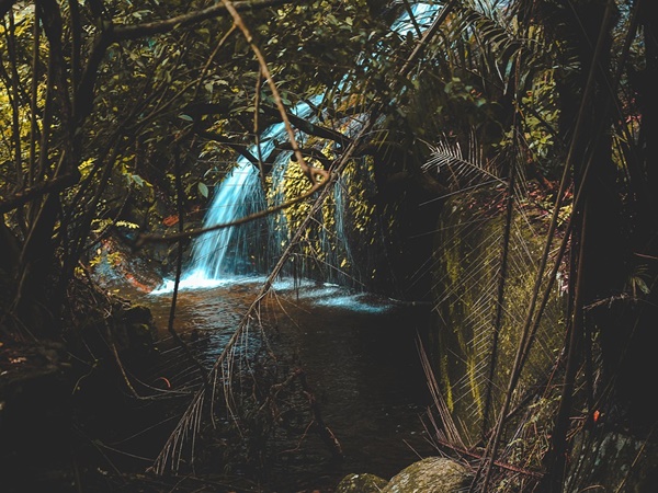 കവിഞ്ഞൊഴുകുന്ന വെള്ളച്ചാ‌ട്ടങ്ങള്‍