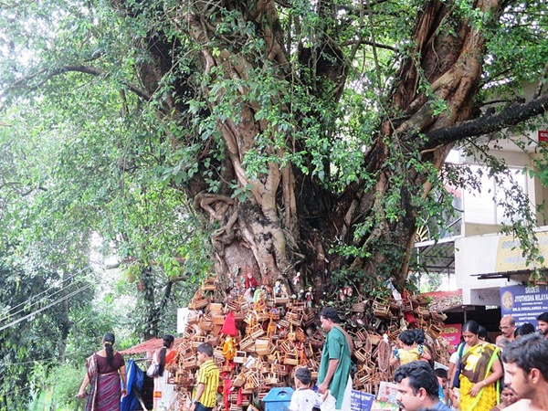 ഭഗവതിയും വിഷ്ണുവും ഒരുമിച്ച്