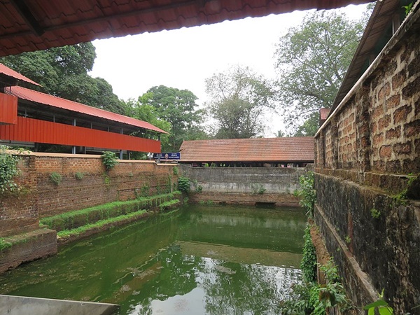 മാനസീക രോഗങ്ങള്‍ മാറുവാന്‍