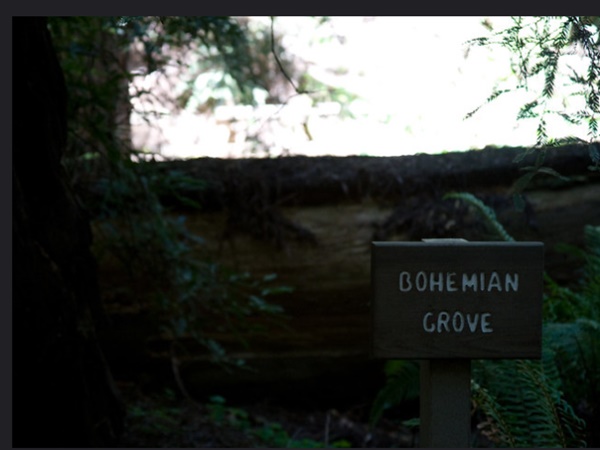 ബൊഹീമിയന്‍ ഗ്രോവ്
