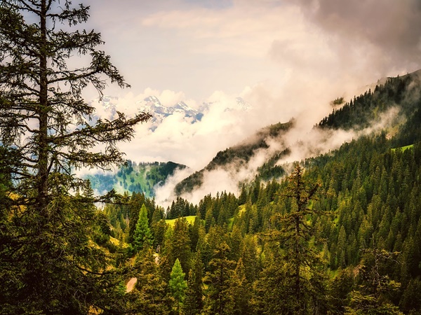 ലിക്റ്റൻസ്റ്റൈൻ 