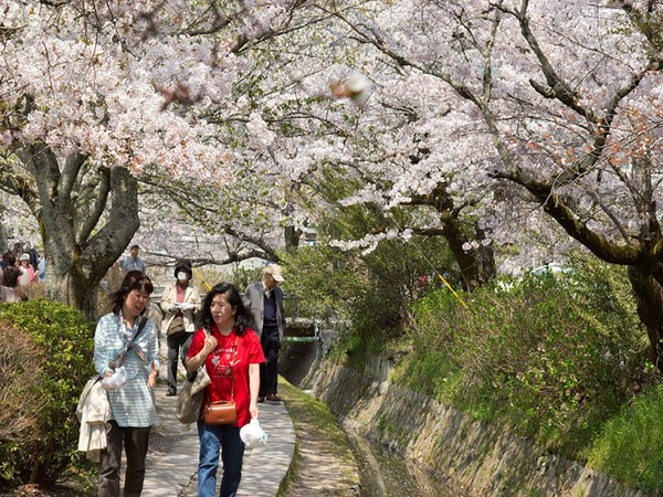 ദ ഫിലോസഫേഴ്സ് വാക്ക്, ക്യോട്ടോ, ജപ്പാന്‍