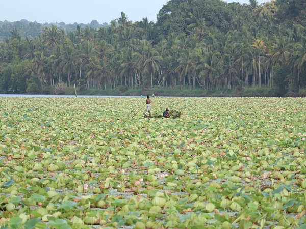 വീരന്‍പുഴ
