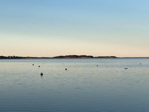  1711 മുതല്‍