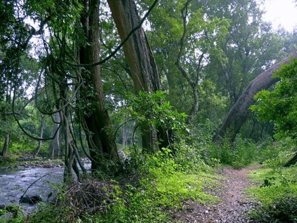 ‌ട്രക്കിങ്ങ്