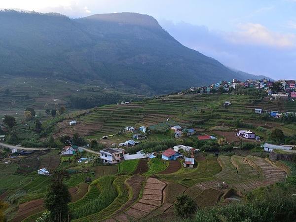 വട്ടവ‌ട