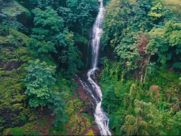 ചരിത്രത്തിലെ പാലൂര്‍കോട്ട