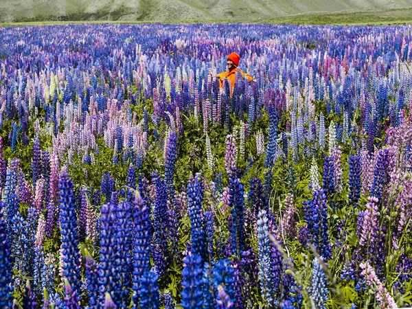 പിറന്നാള്‍ ആഘോഷമോ?? അതെന്താണ്?!!