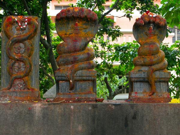 മണ്ണാറശ്ശാല ആയില്യം