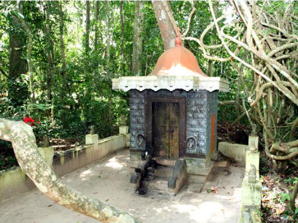 തുലാ മാസത്തിലെ ആയില്യം