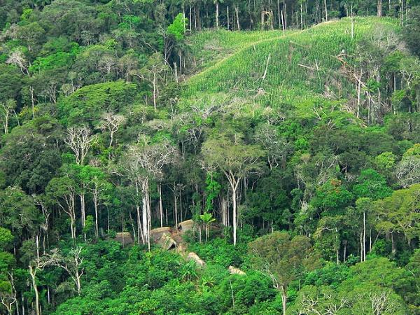 ഒറ്റപ്പെട്ടു കിടക്കുന്ന ഗോത്രവംശം