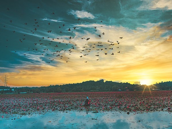 വളര്‍ന്നുകൊണ്ടേയിരിക്കുന്നു