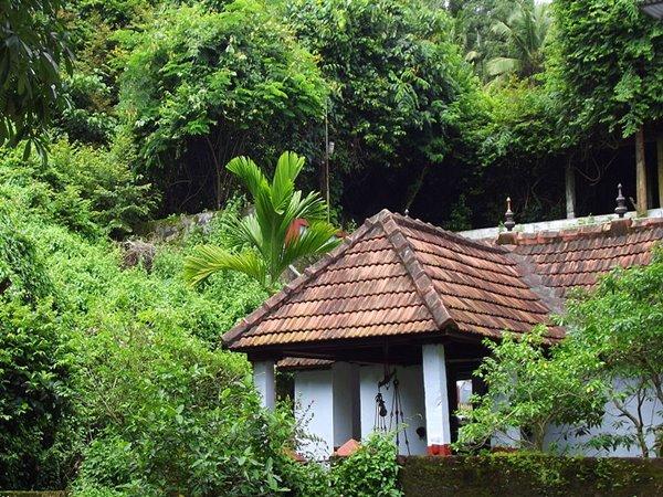 ബുദ്ധിക്ക് നെയ്പ്രസാദം