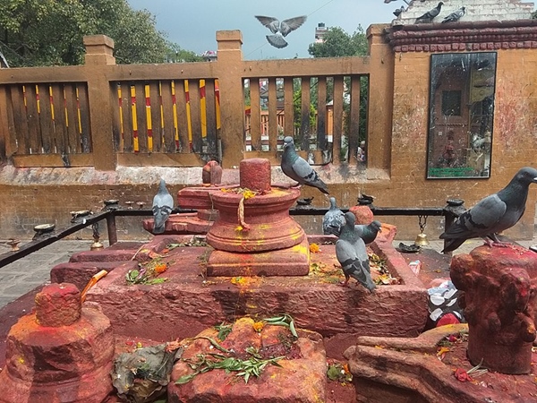 ഹരിബോന്ദിനി ഏകാദശി മേള