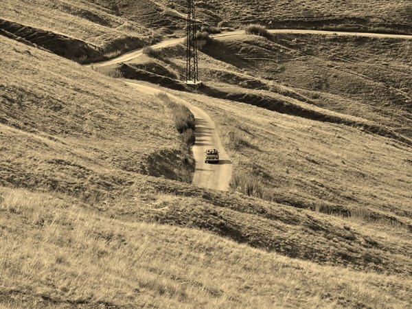 ഭക്ഷണവും കൂളറും