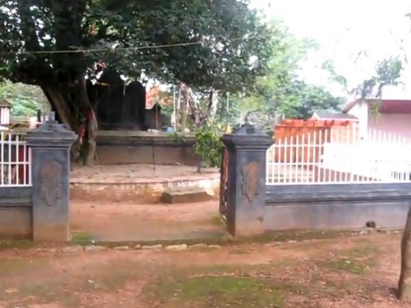 പവിത്രേശ്വരം മായംകോട്ട് മലഞ്ചരുവ് മലനട