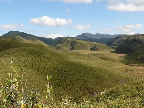 ഹാഫ്ലോങ്