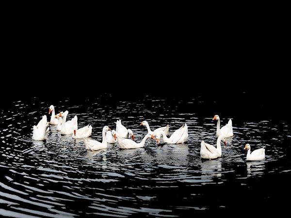 സത്താല്‍ 