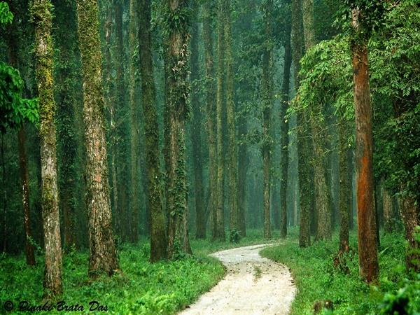  കേരളം പോലൊരു നാട്