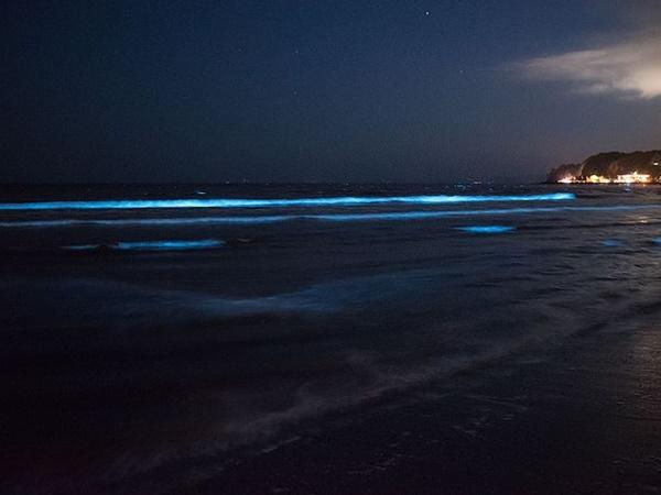 രാത്രിയില്‍ തിളങ്ങുന്ന ബീച്ച്