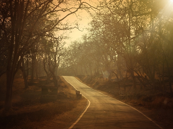  ഗോവയില്‍ നിന്നും കൂര്‍ഗിലേക്ക്