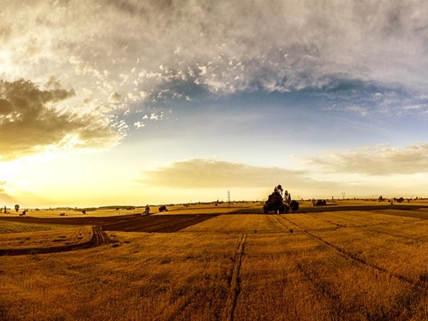 വിഭജിക്കപ്പെട്ട പഞ്ചാബ്
