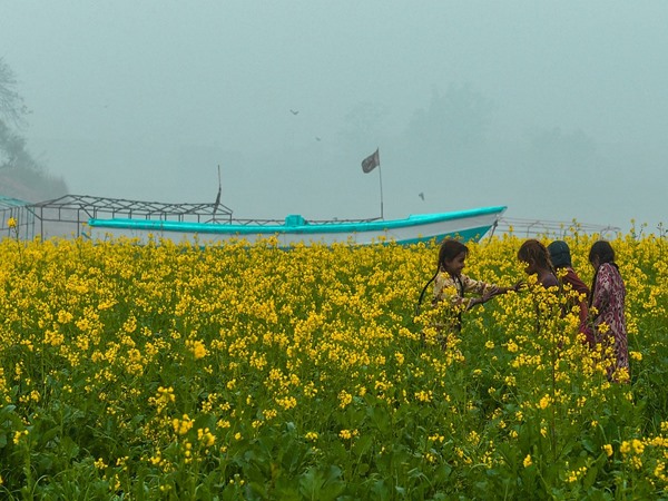 ഇന്ത്യയുടെ ധാന്യപ്പുര