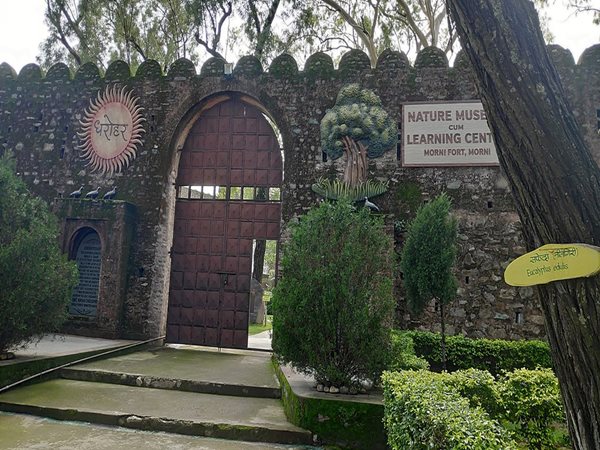 മോര്‍നി ഫോര്‍ട്ട്