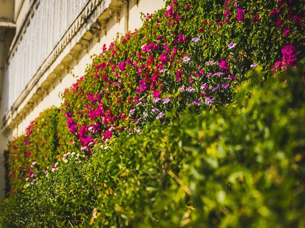 ബന്‍സ്വാര