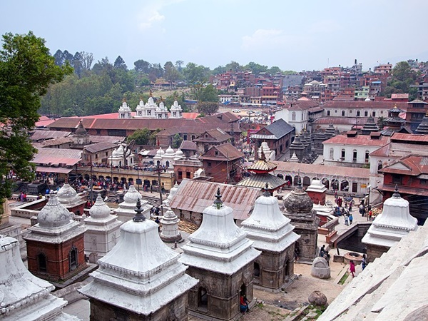 ആര്യാ ഘട്ട്