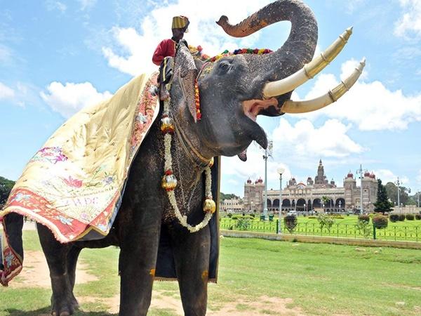 Mysore Dasara 2021