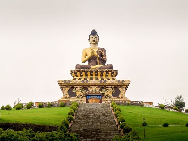 തഥാഗത സാൽ, സൗത്ത് സിക്കിം