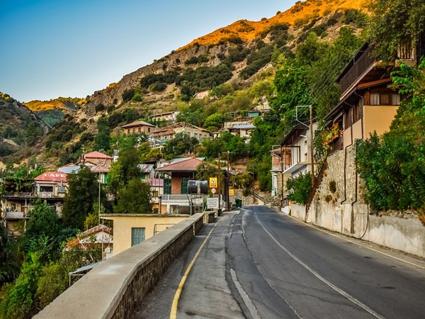  ഓർക്കിഡിന്റെ അപൂർവ ഇനം