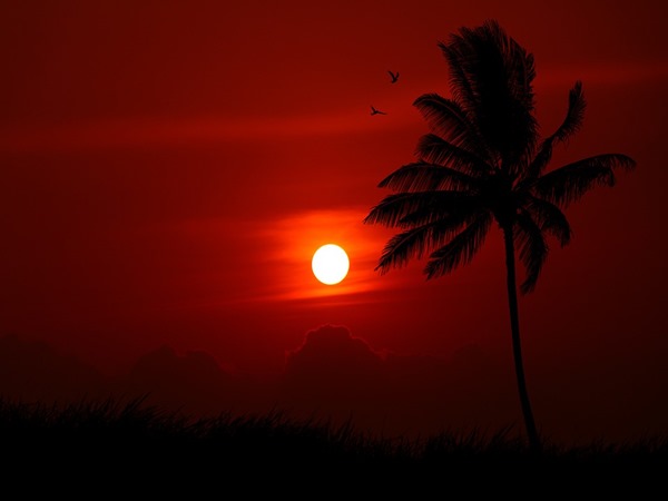 ഒന്നാം ദിവസം- ഏപ്രില്‍ 28