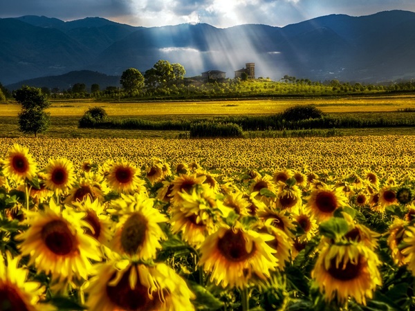 കുന്നുകളും തീരപ്രദേശവും