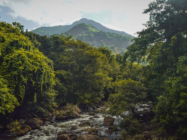 വൈത്തിരി
