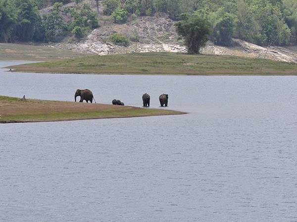 ശ്രദ്ധിക്കാം