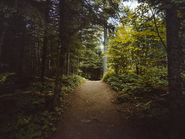 ശ്രദ്ധിക്കുവാന്‍